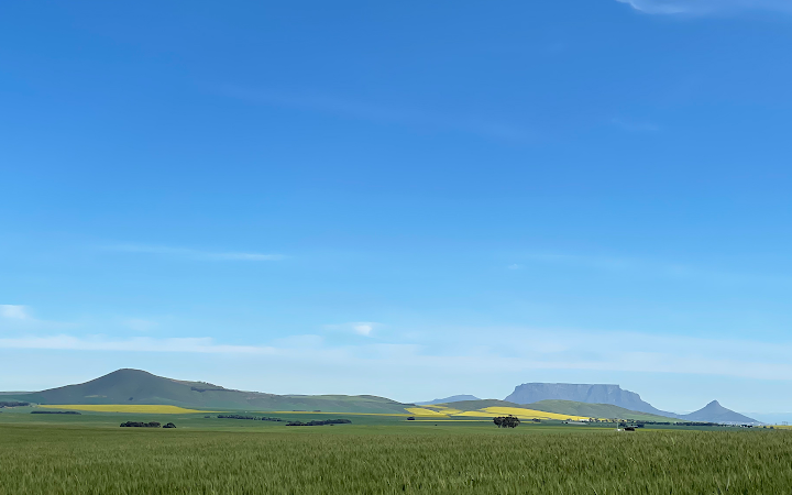 Van Der Berg & Associates