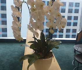 Hiswara Bunjamin & Tandjung