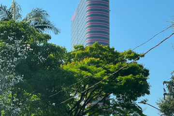 Demarest Lawyers São Paulo