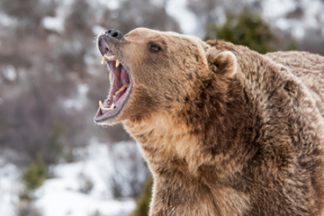 Law Office of Jason Skala